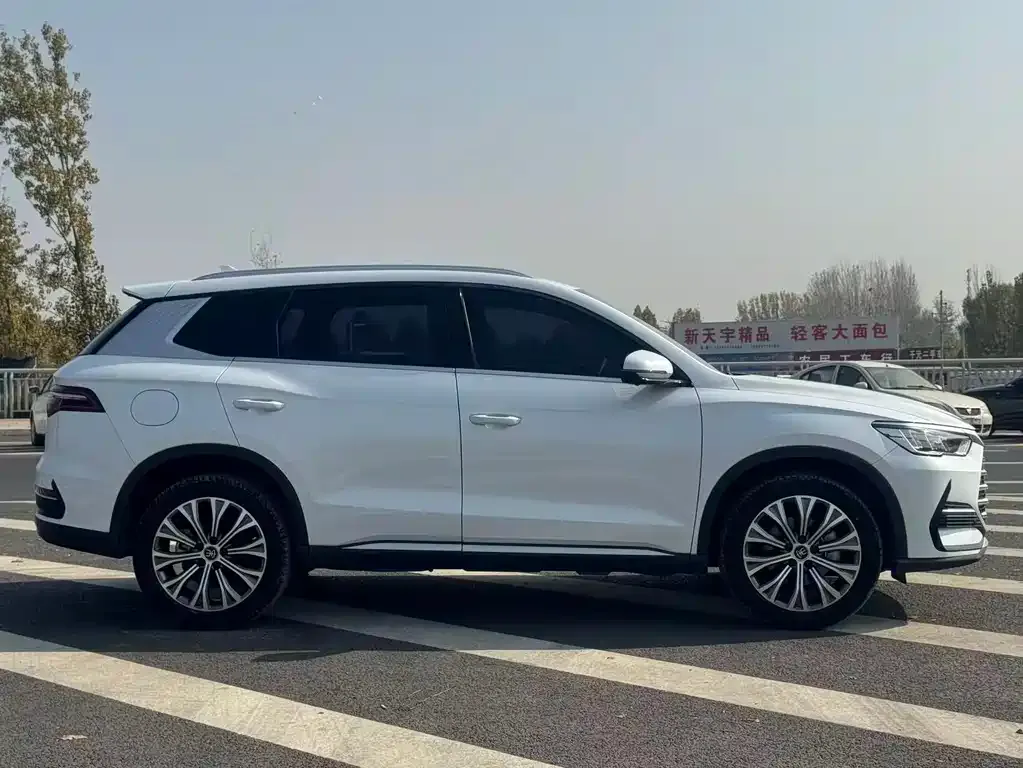 BYD Pro New Energy — фото 7