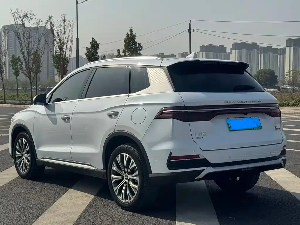 BYD Pro New Energy — фото 9