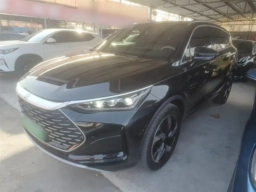 BYD Tang New Energy 2024 из CN, фото 2