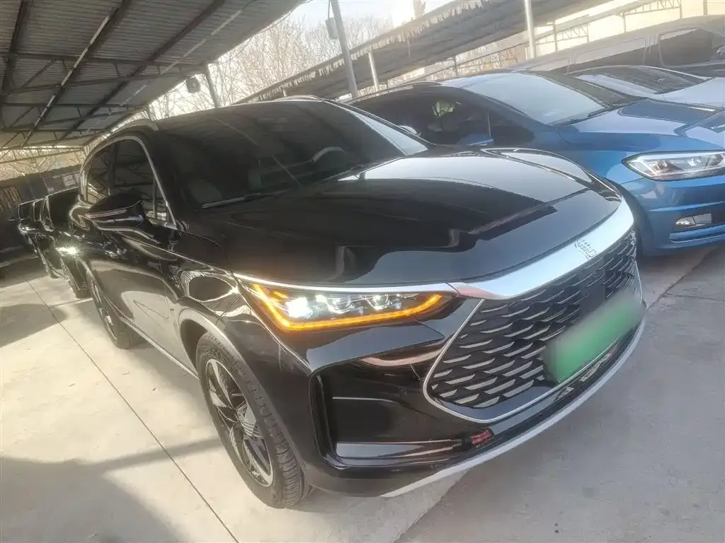 BYD Tang New Energy 2024 из CN, фото 4