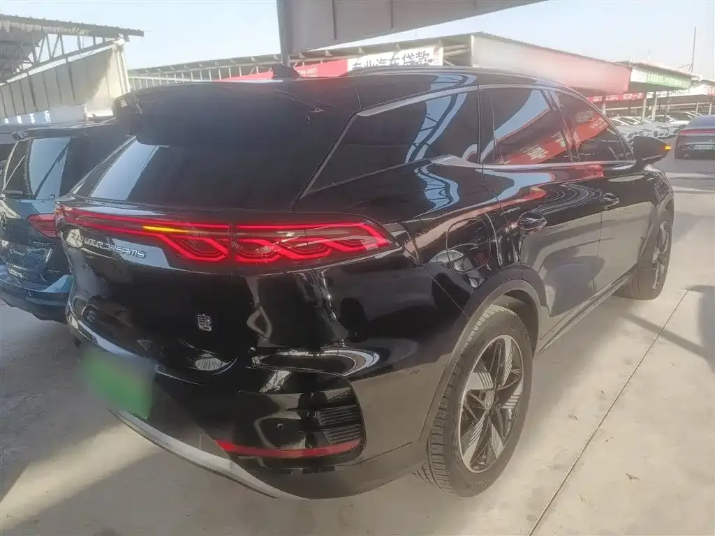 BYD Tang New Energy 2024 из CN, фото 7