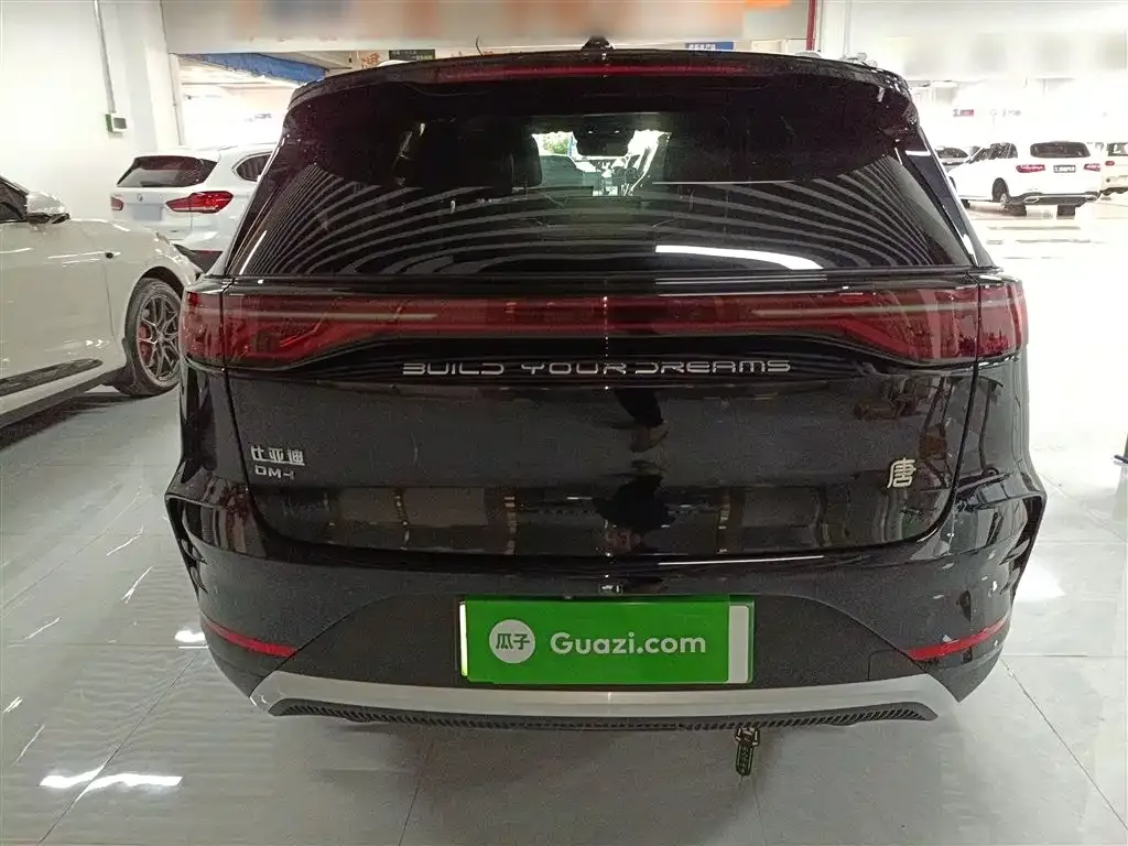BYD Tang New Energy 2025 из CN, фото 6