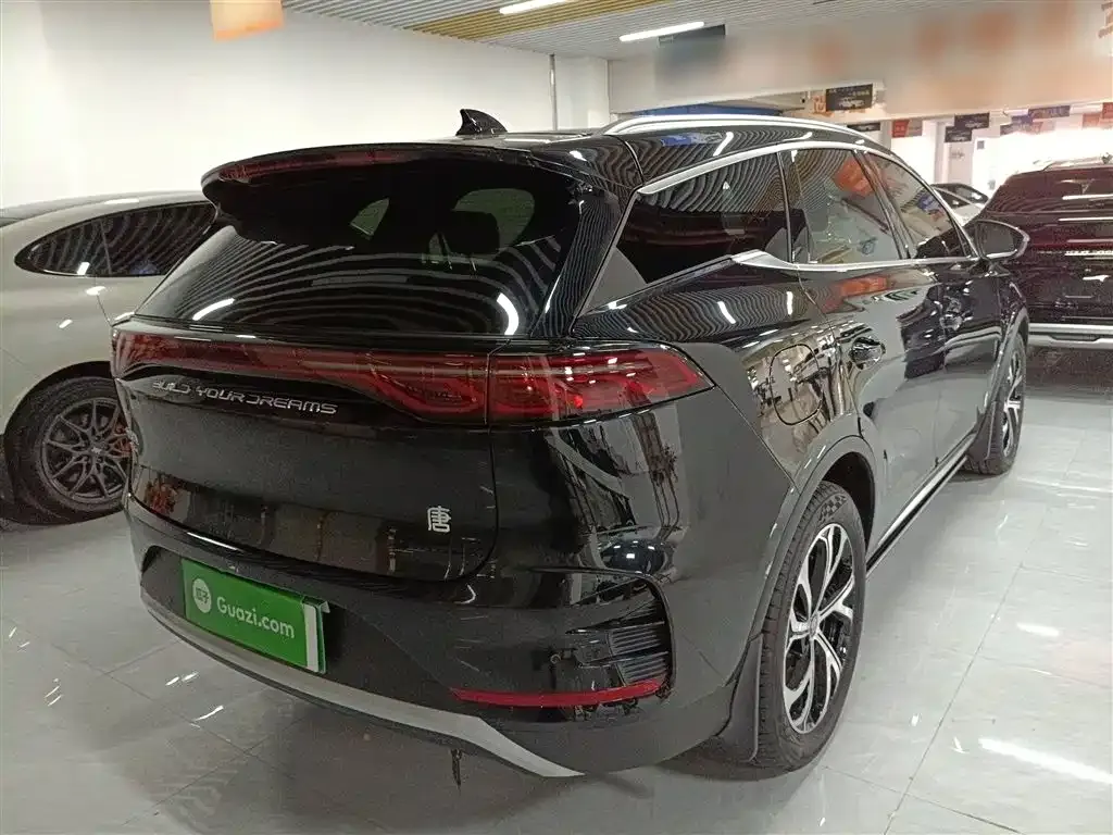 BYD Tang New Energy 2025 из CN, фото 7