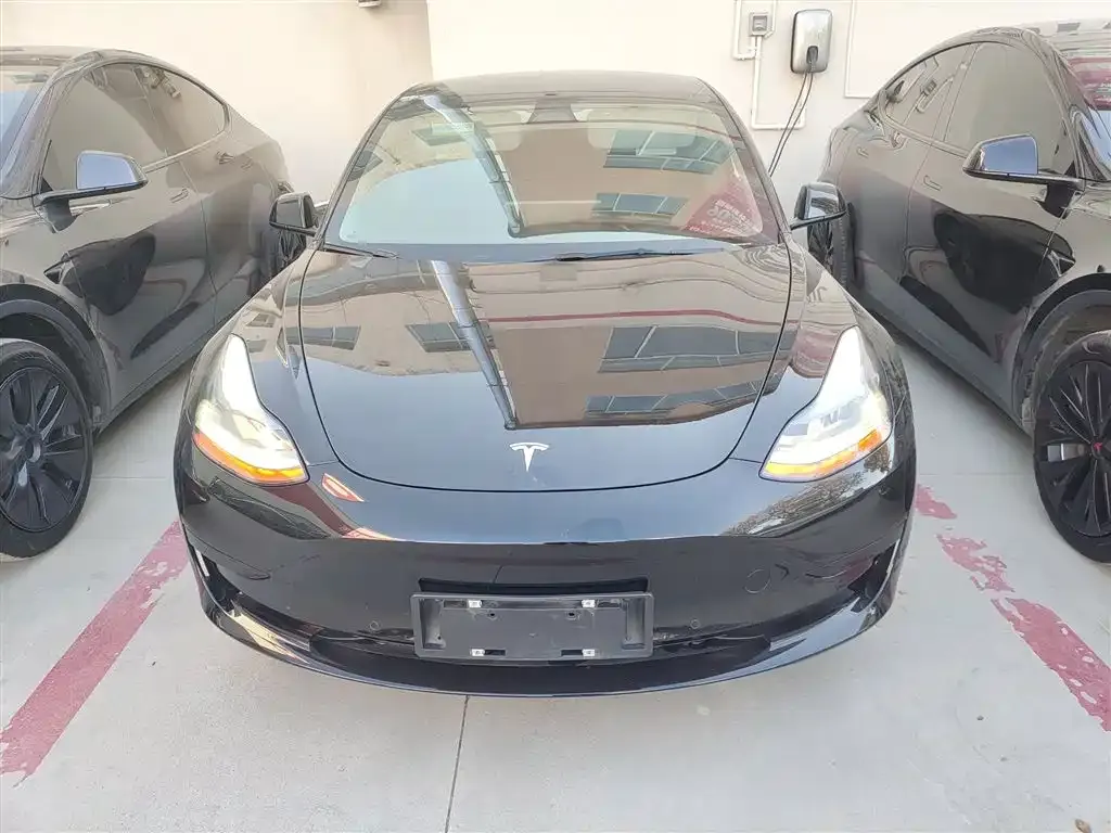 Tesla Model 3 2021 из CN, фото 3