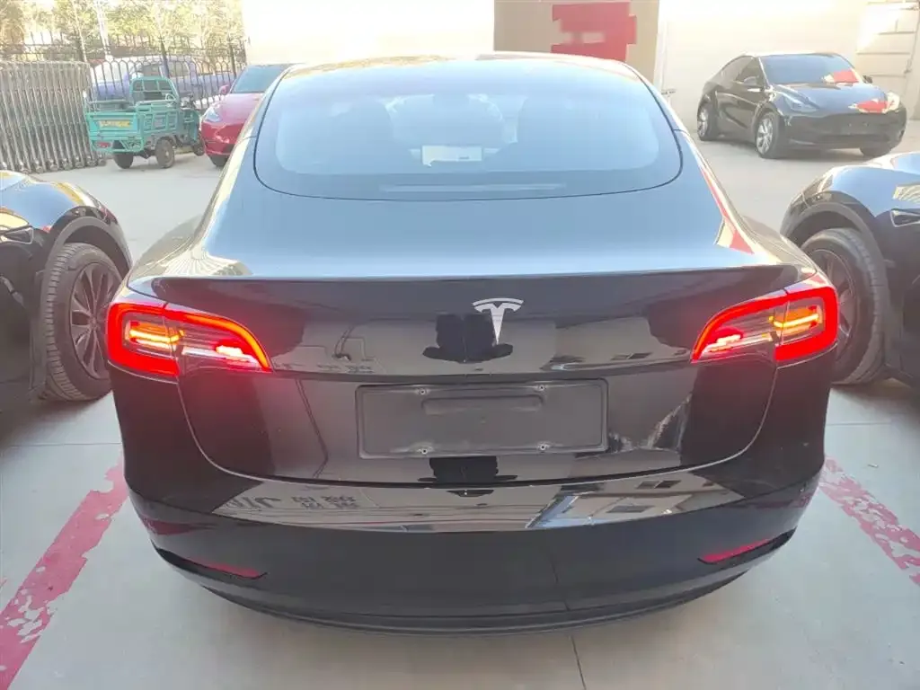Tesla Model 3 2021 из CN, фото 6