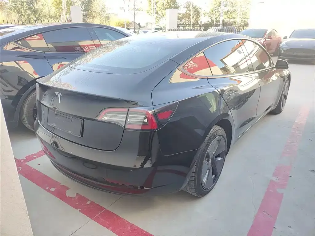 Tesla Model 3 2021 из CN, фото 7