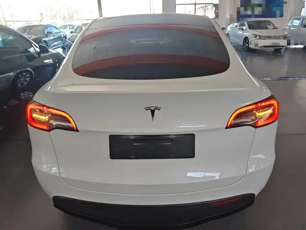 Tesla Model Y 2022 из CN, фото 6