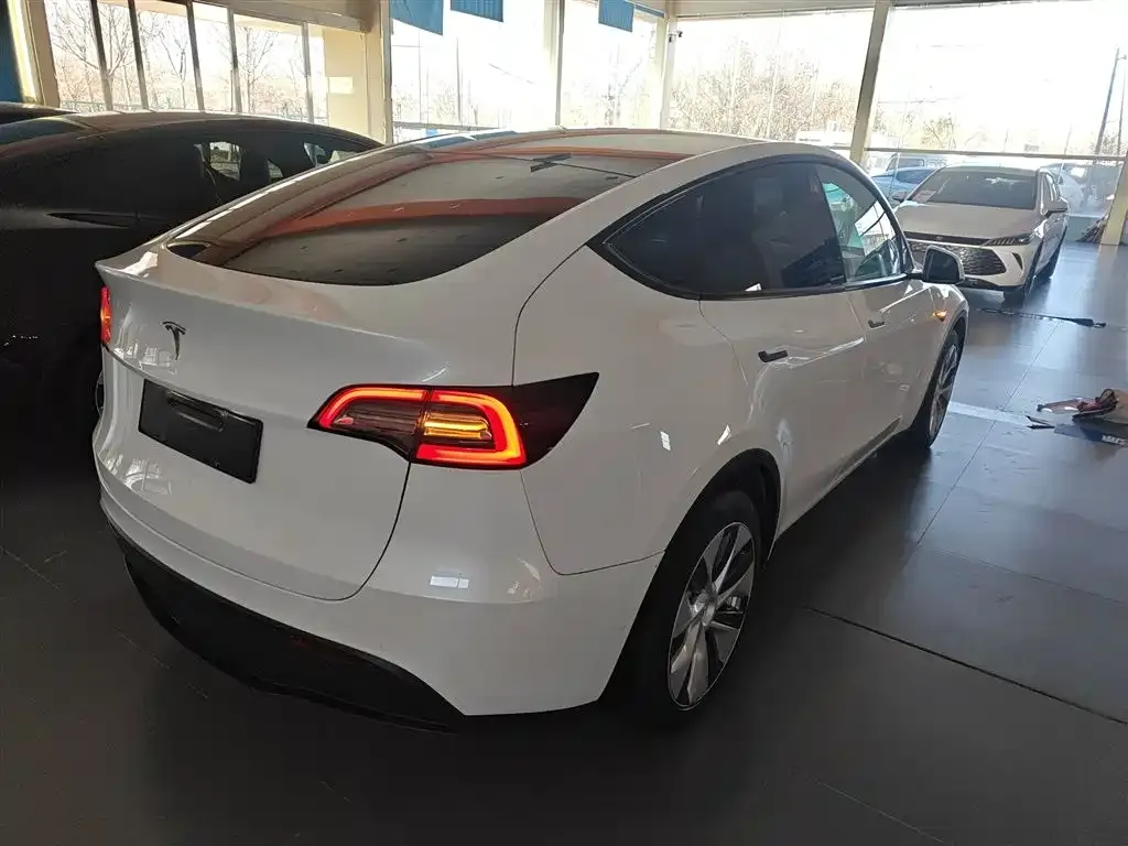 Tesla Model Y 2022 из CN, фото 7