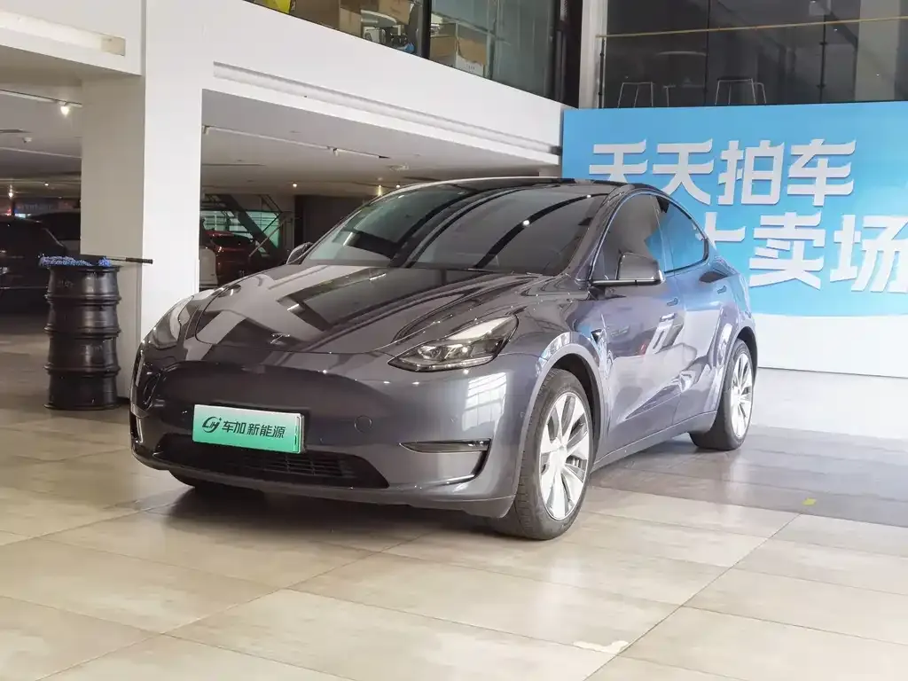Tesla Model Y — фото 1