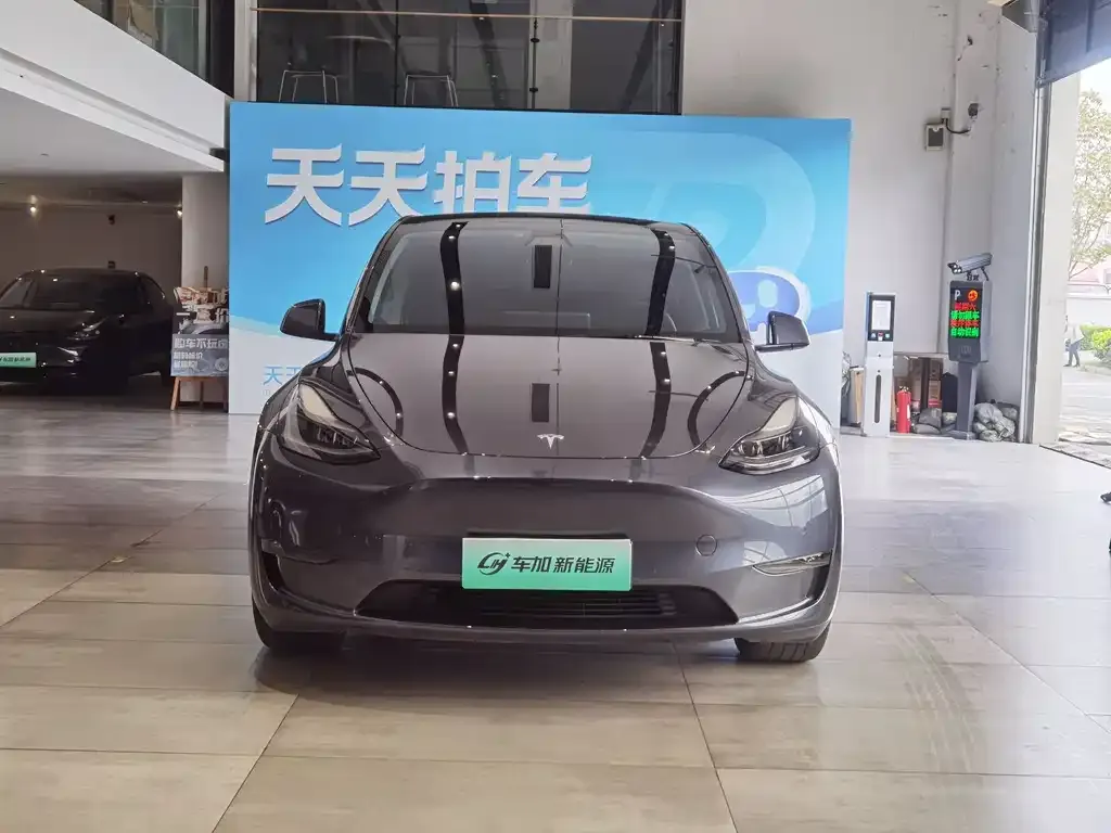 Tesla Model Y — фото 2