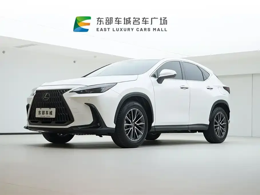Lexus NX 2023 из CN, фото 1