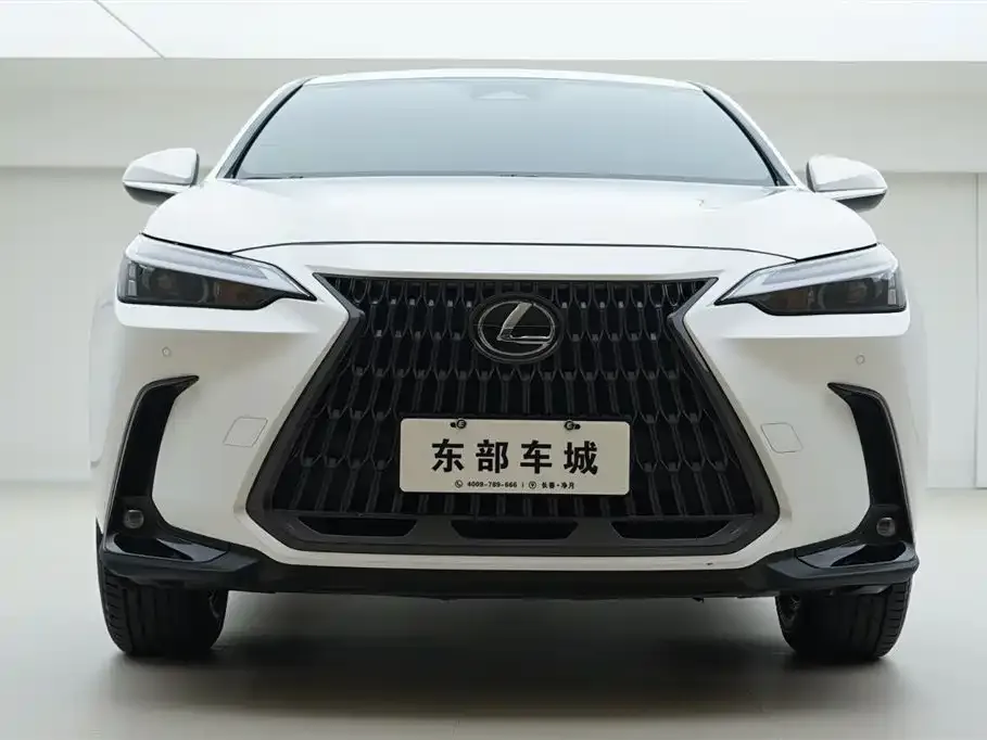 Lexus NX 2023 из CN, фото 2