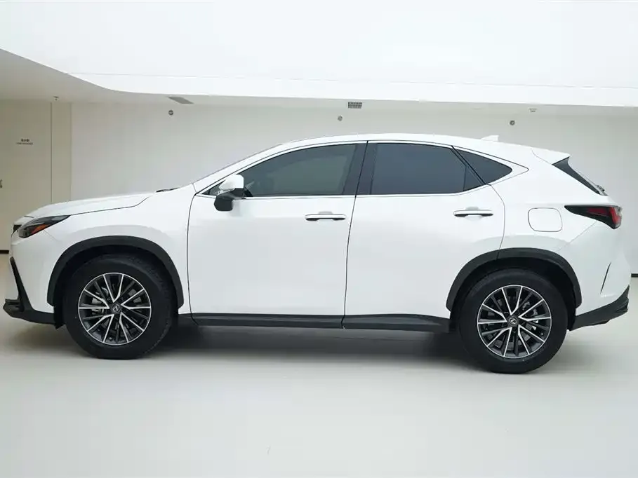 Lexus NX 2023 из CN, фото 3