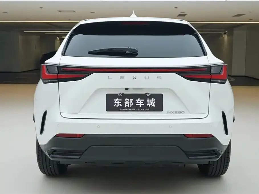 Lexus NX 2023 из CN, фото 4