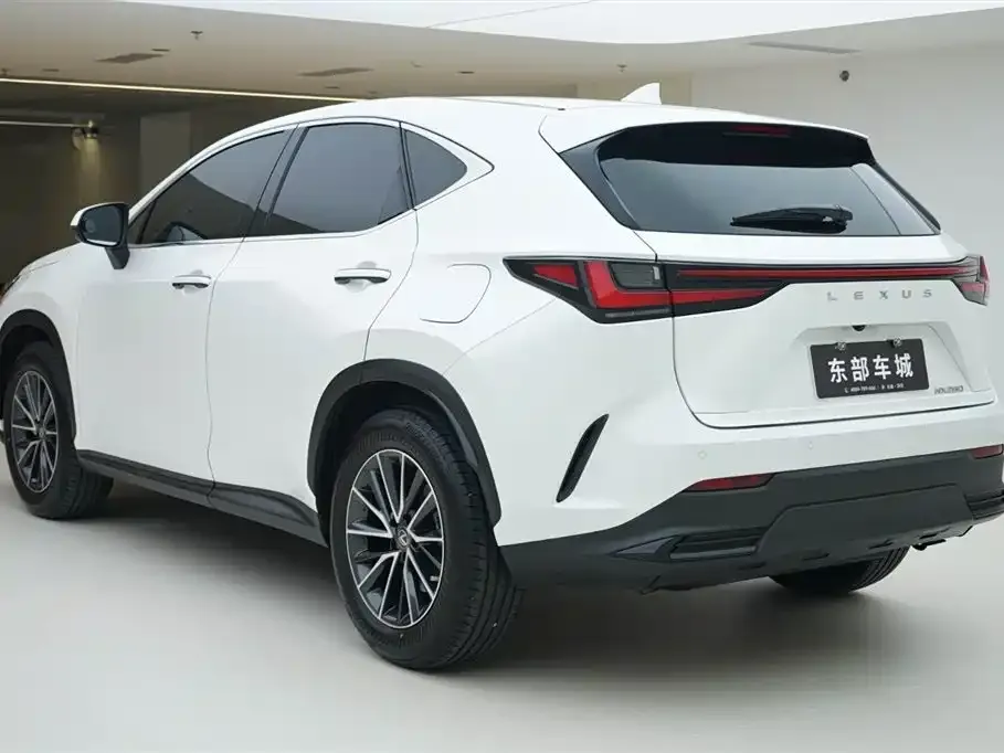 Lexus NX 2023 из CN, фото 5