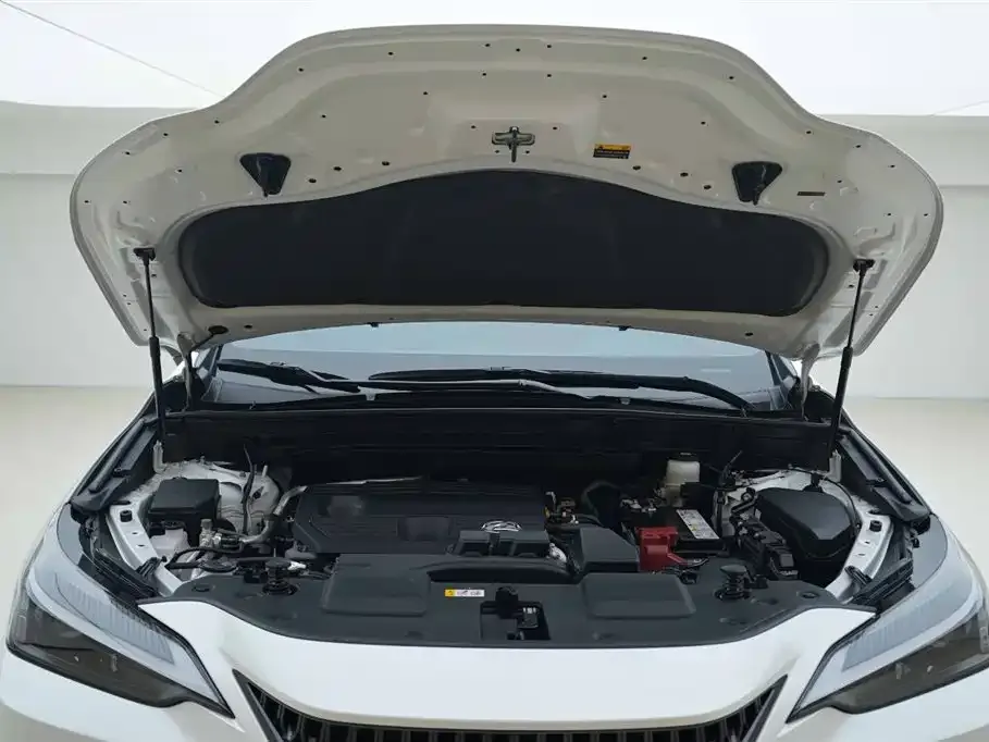 Lexus NX 2023 из CN, фото 7