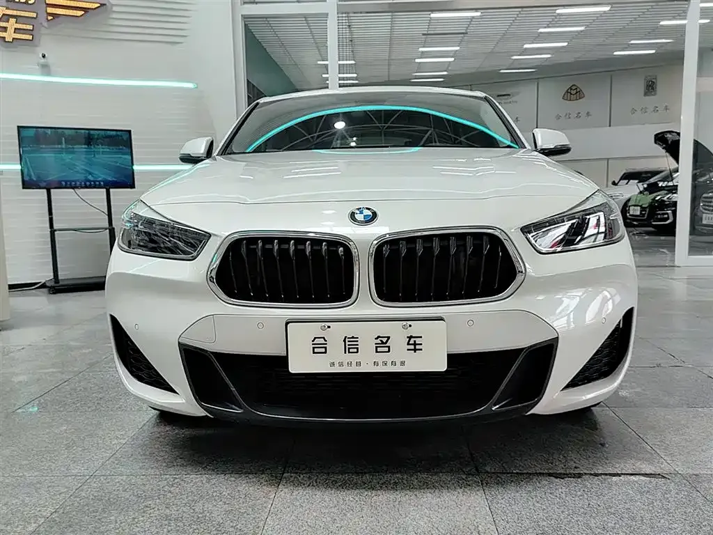 BMW X2 2022 из CN, фото 2