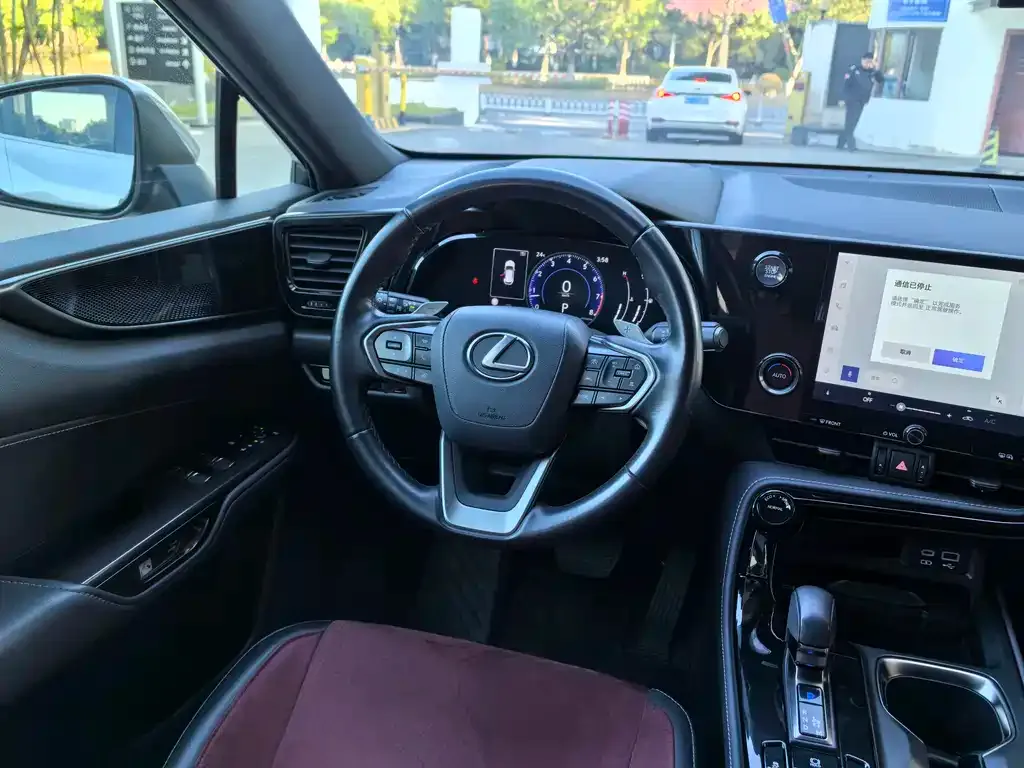 Lexus NX 2023 из CN, фото 10