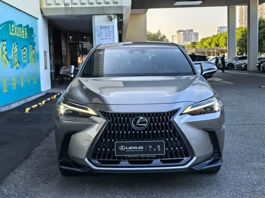 Lexus NX 2023 из CN, фото 2