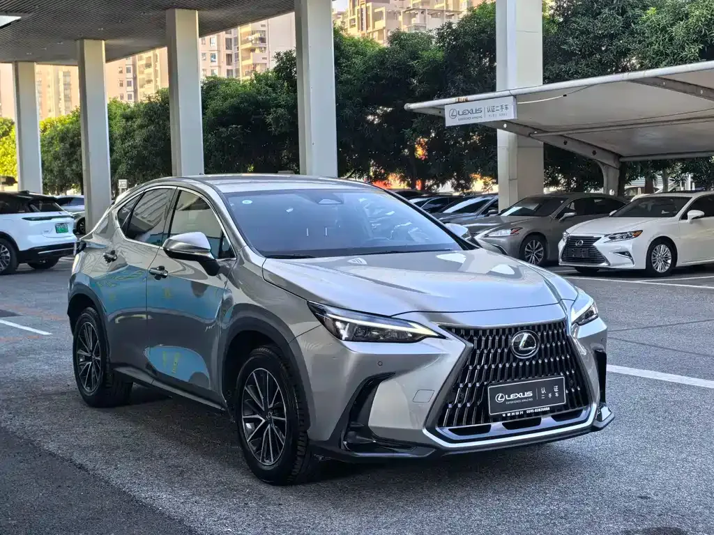Lexus NX 2023 из CN, фото 3
