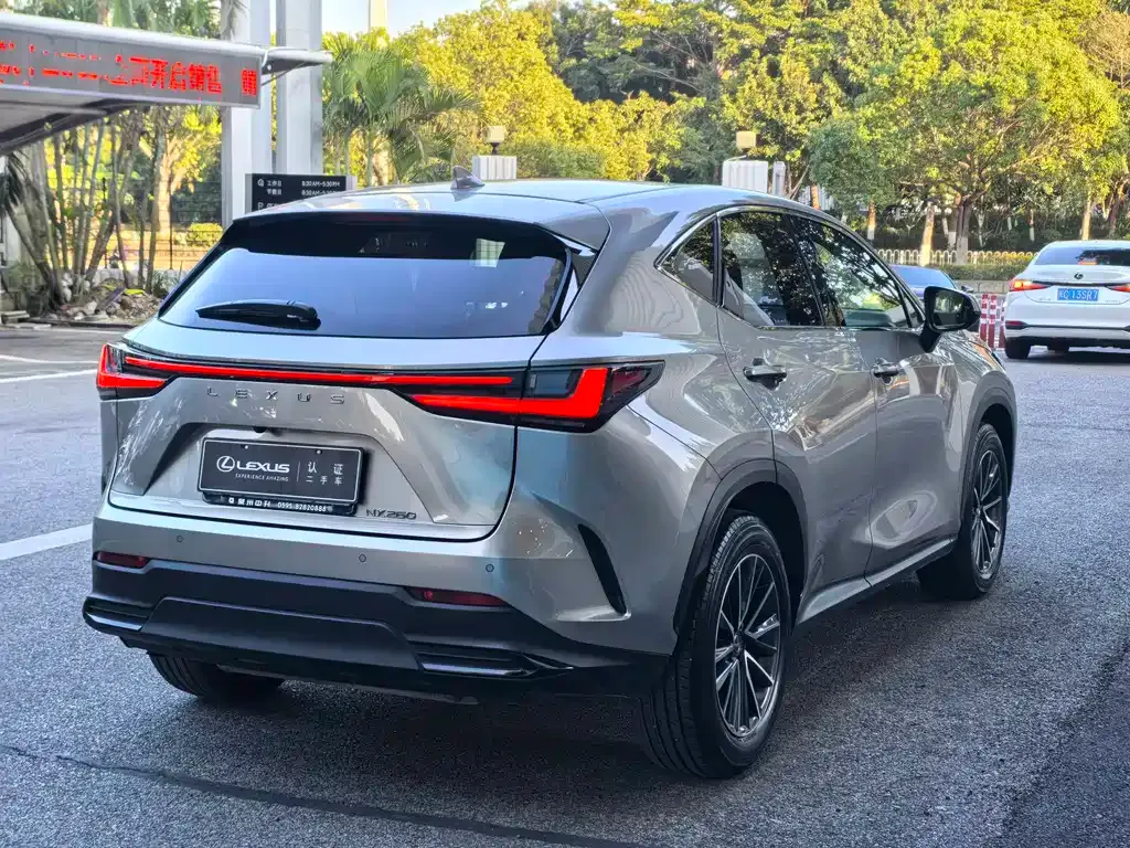 Lexus NX 2023 из CN, фото 4