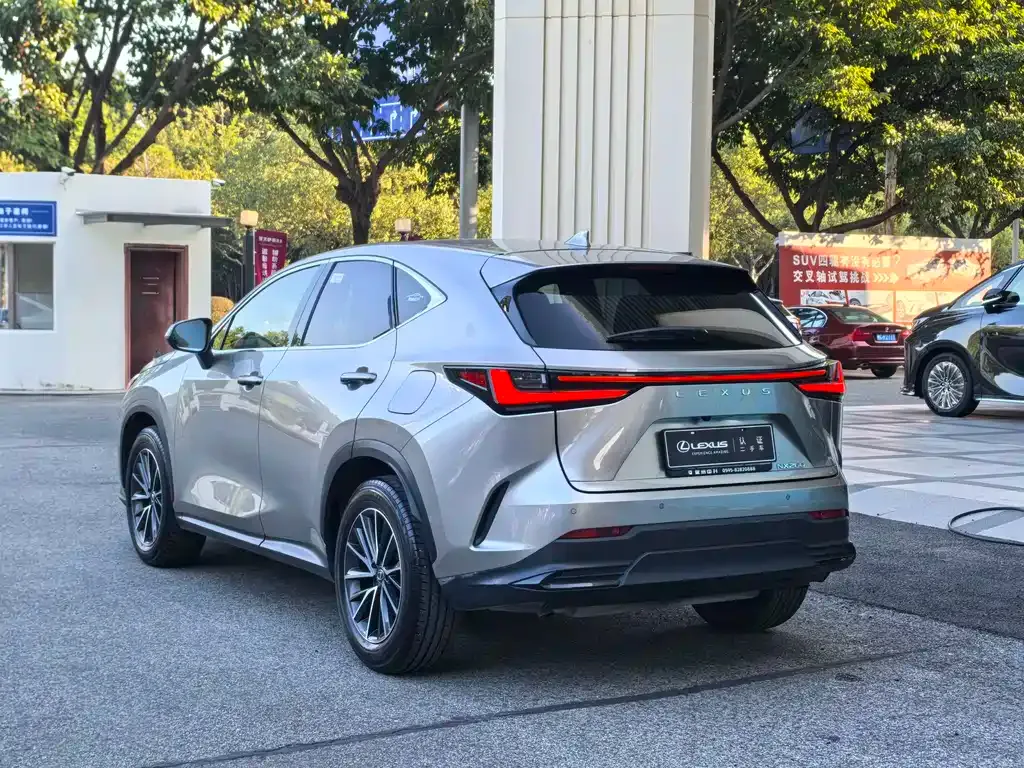 Lexus NX 2023 из CN, фото 6