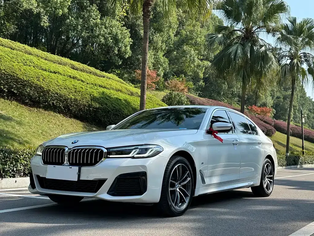 BMW 5 Series 2022 из CN, фото 1