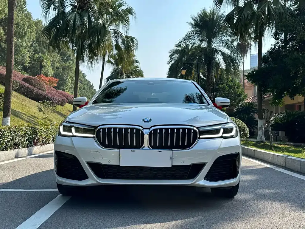 BMW 5 Series 2022 из CN, фото 2