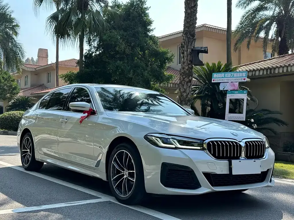 BMW 5 Series 2022 из CN, фото 3
