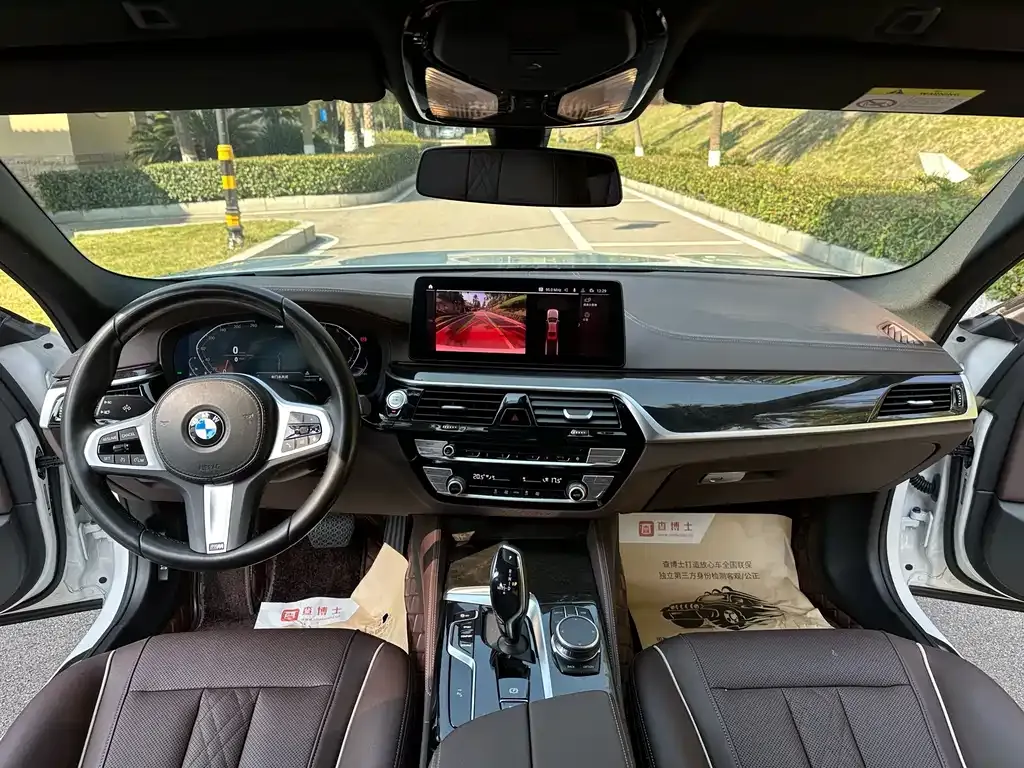 BMW 5 Series 2022 из CN, фото 4