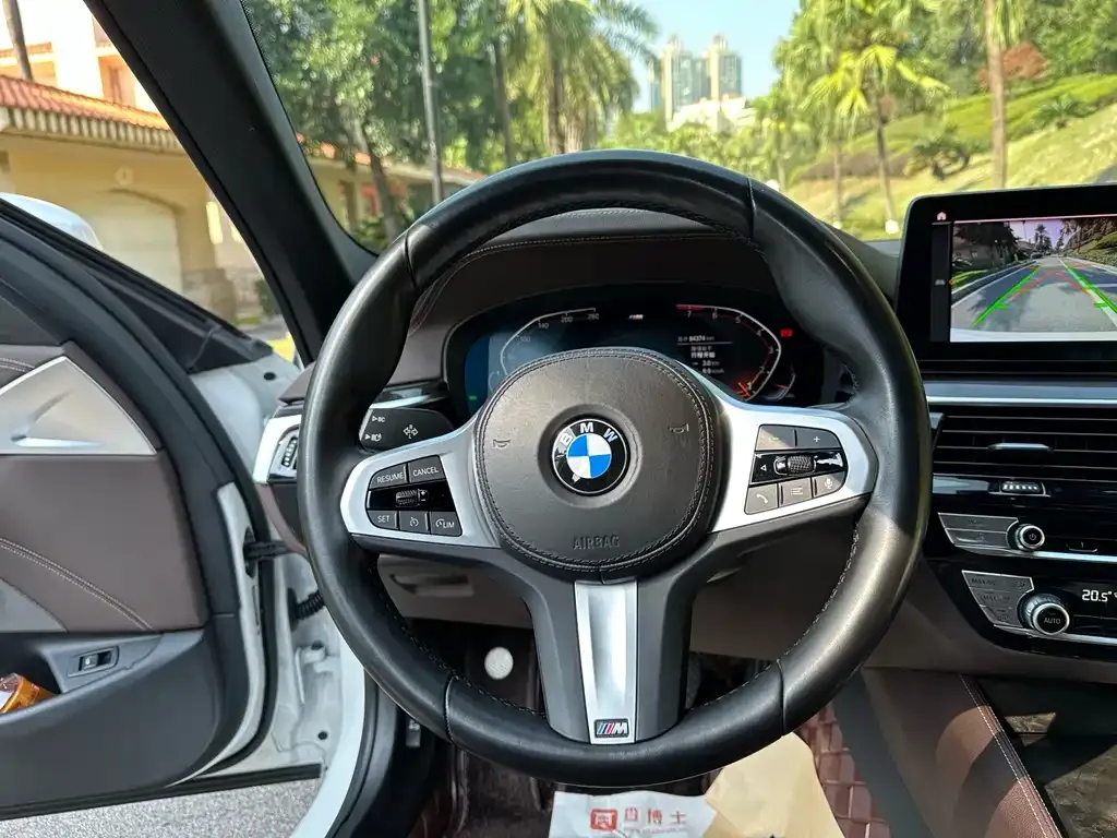 BMW 5 Series 2022 из CN, фото 6