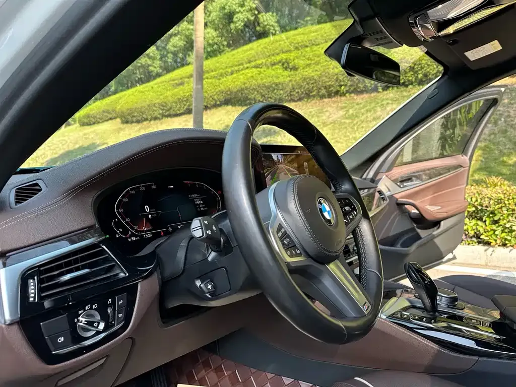 BMW 5 Series 2022 из CN, фото 8