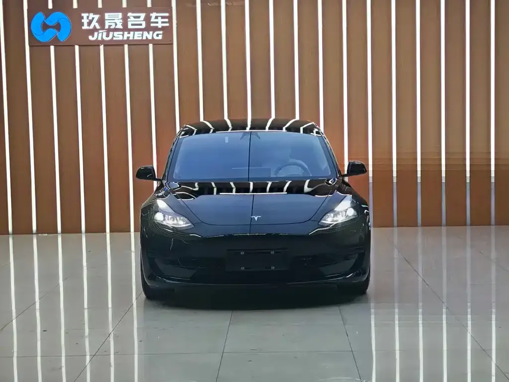 Tesla Model 3 — фото 2