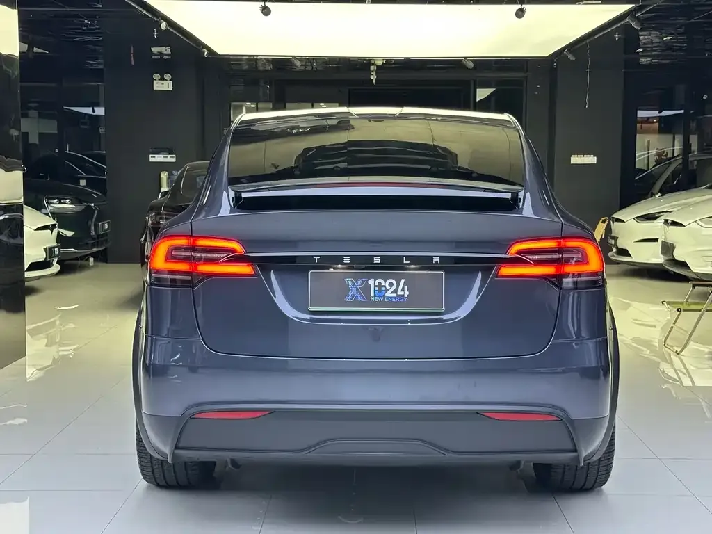 Tesla Model X — фото 5
