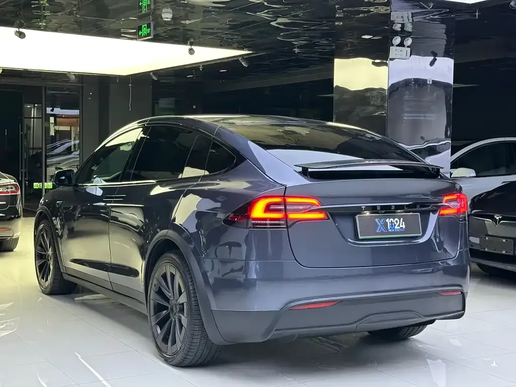 Tesla Model X — фото 6