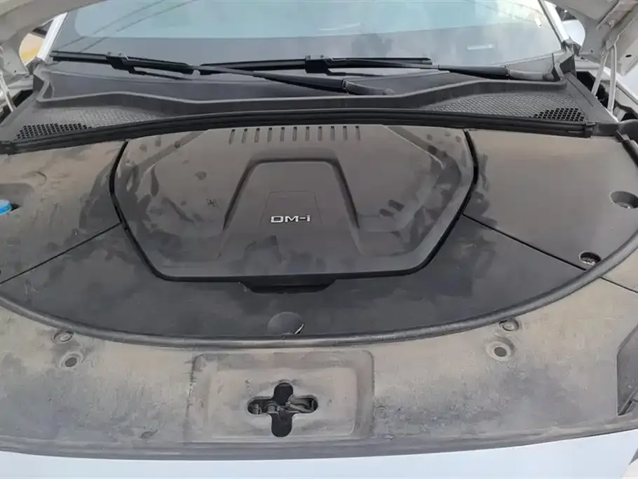 BYD PLUS New Energy 2024 из CN, фото 10