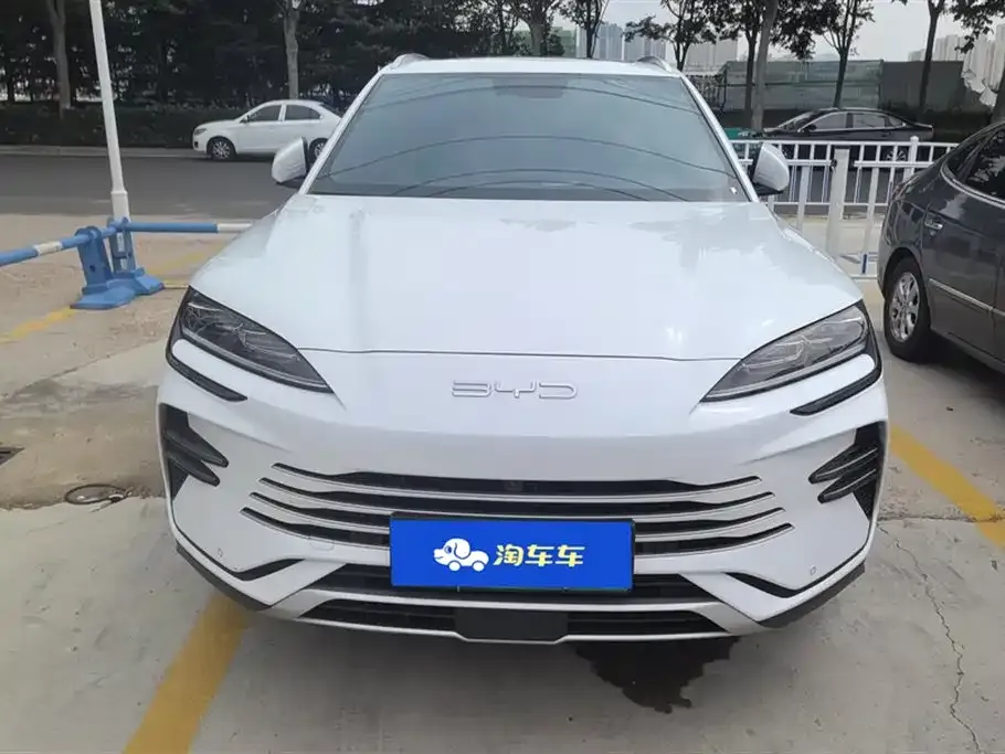 BYD PLUS New Energy 2024 из CN, фото 2