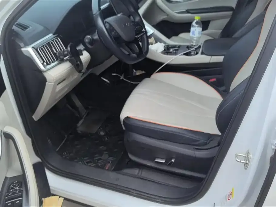 BYD PLUS New Energy 2024 из CN, фото 9