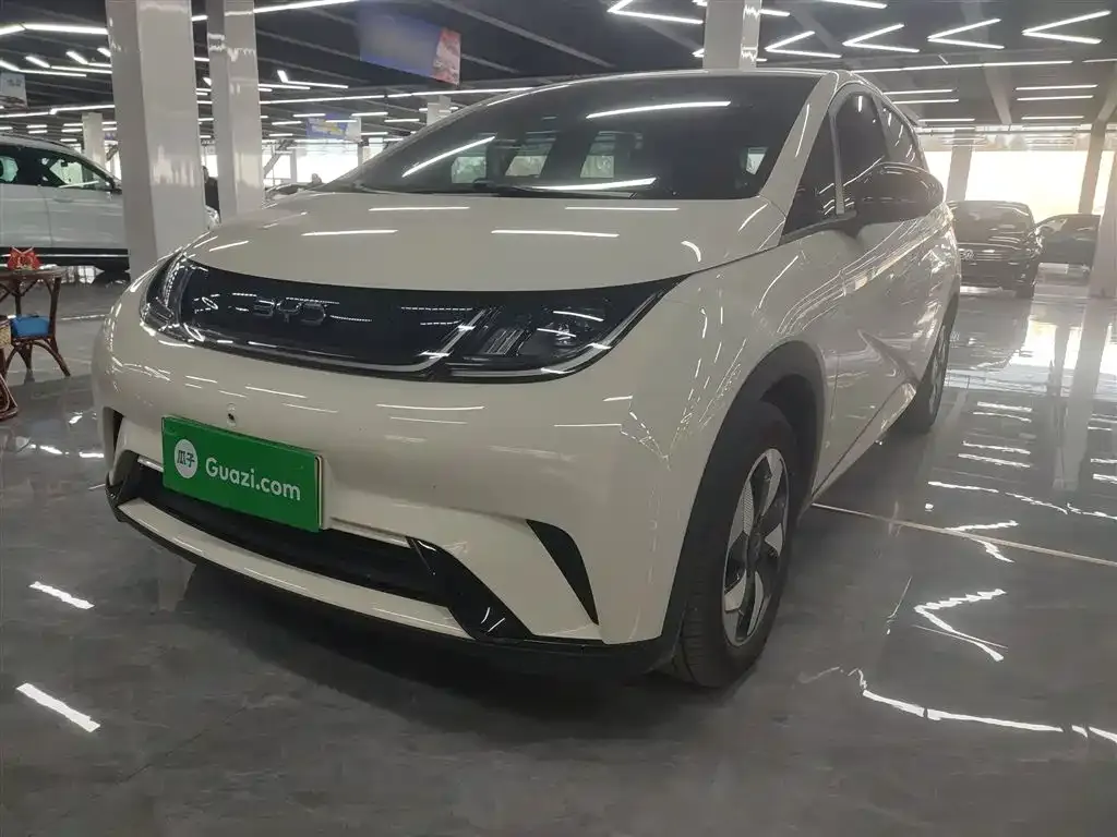 BYD Dolphin 2025 из CN, фото 2
