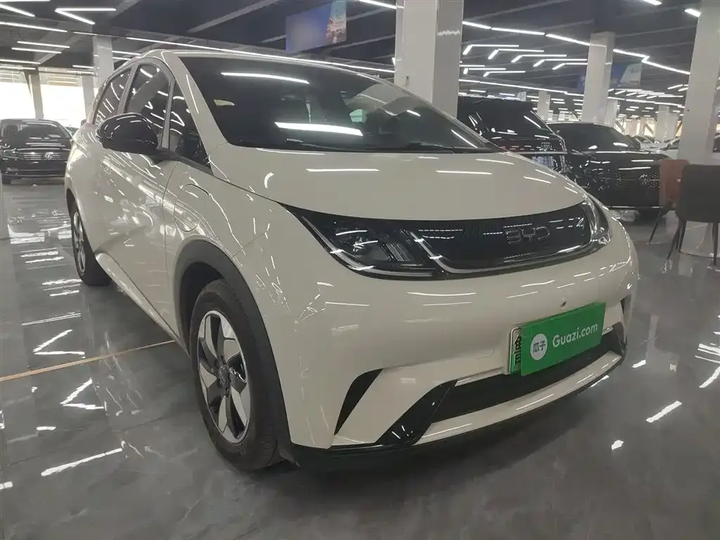 BYD Dolphin 2025 из CN, фото 4
