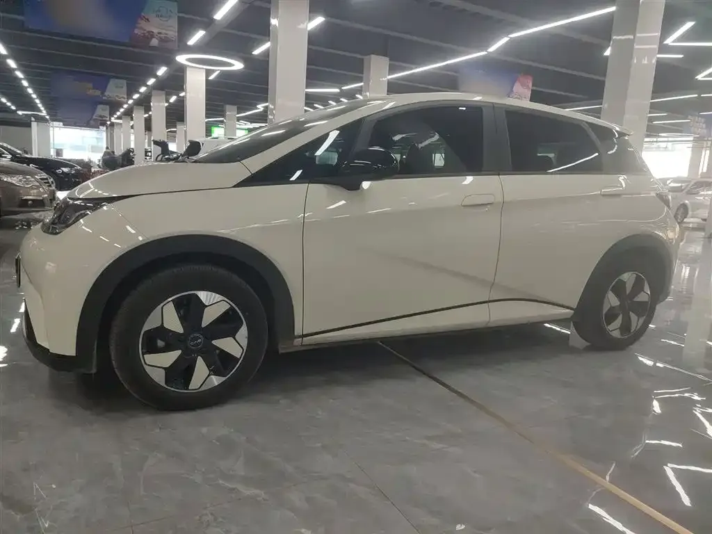 BYD Dolphin 2025 из CN, фото 5
