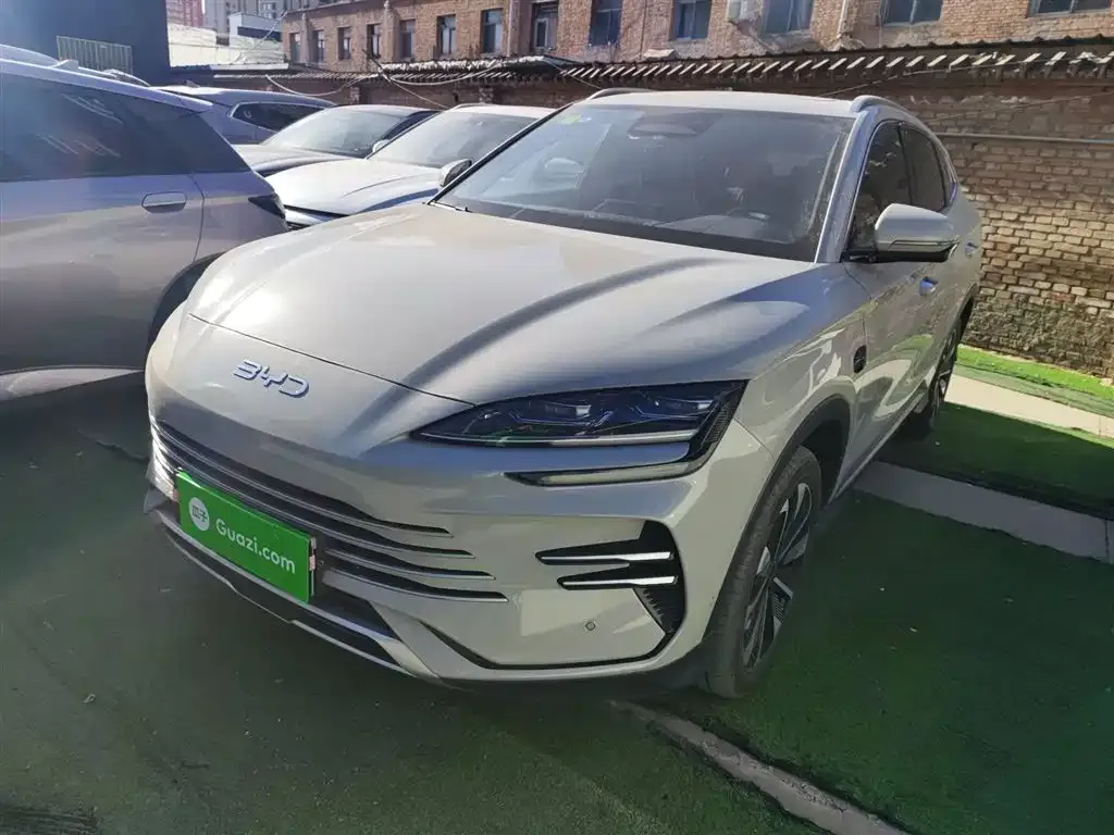 BYD PLUS New Energy 2025 из CN, фото 1