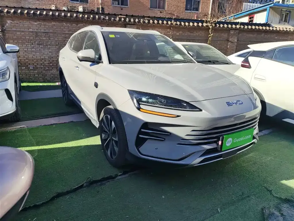BYD PLUS New Energy 2025 из CN, фото 4