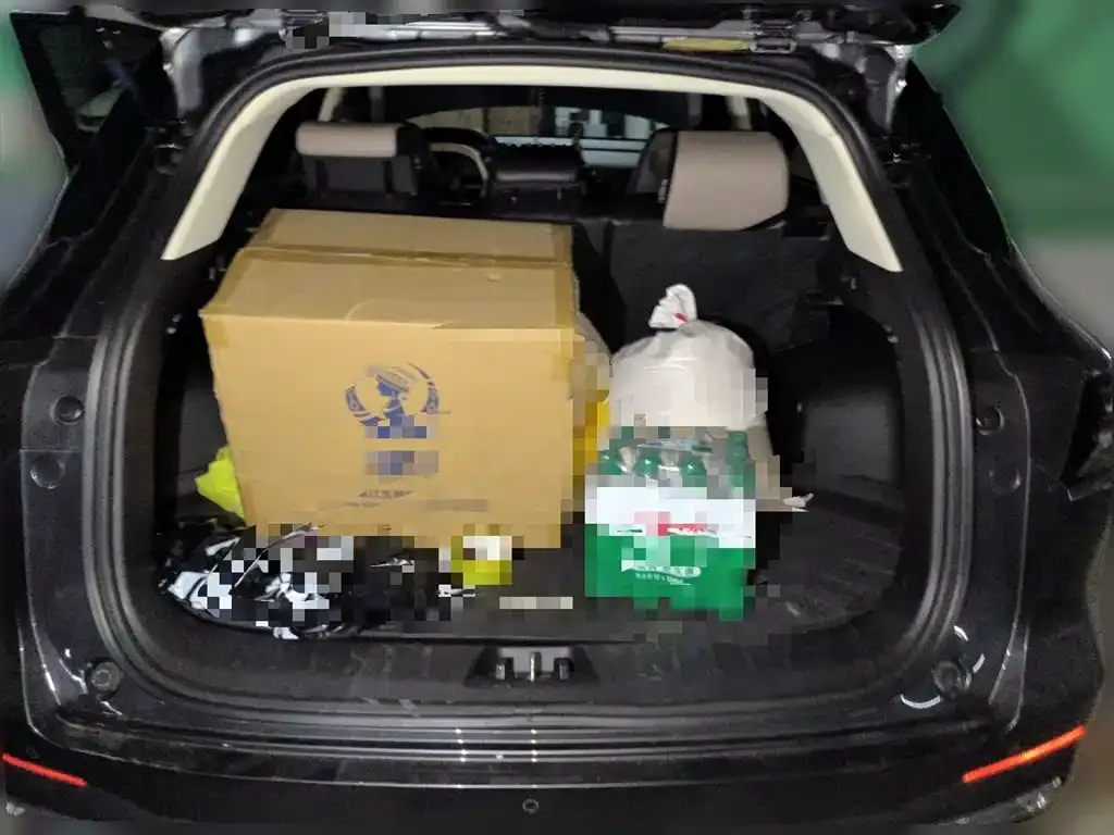 Changan CS55PLUS 2023 из CN, фото 10