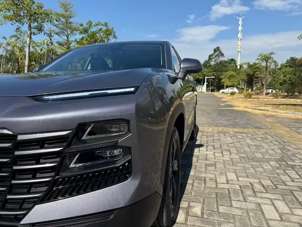 Jetour Dasheng 2025 из CN, фото 8