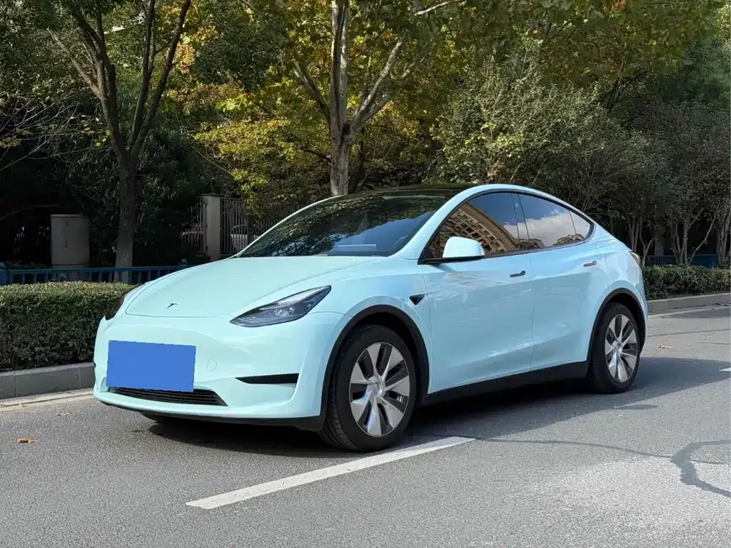 Tesla Model Y — фото 1