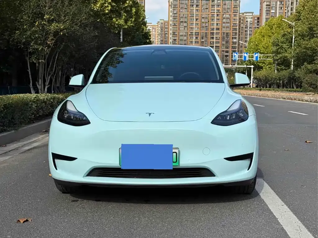 Tesla Model Y — фото 2