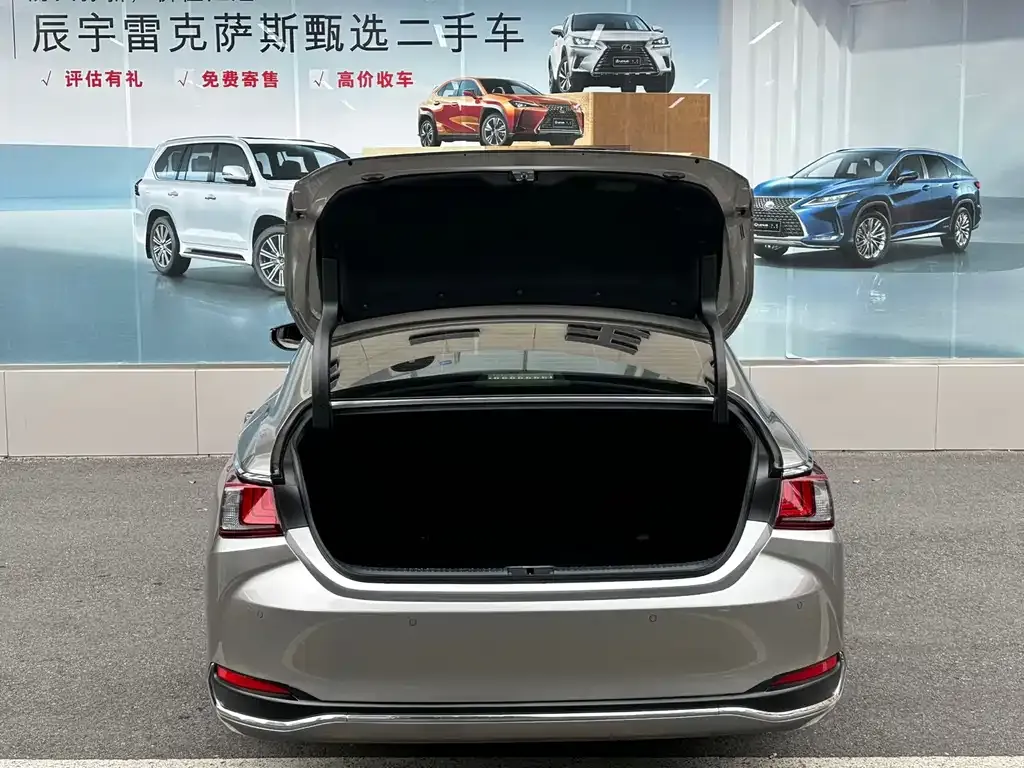 Lexus ES 2022 из CN, фото 6