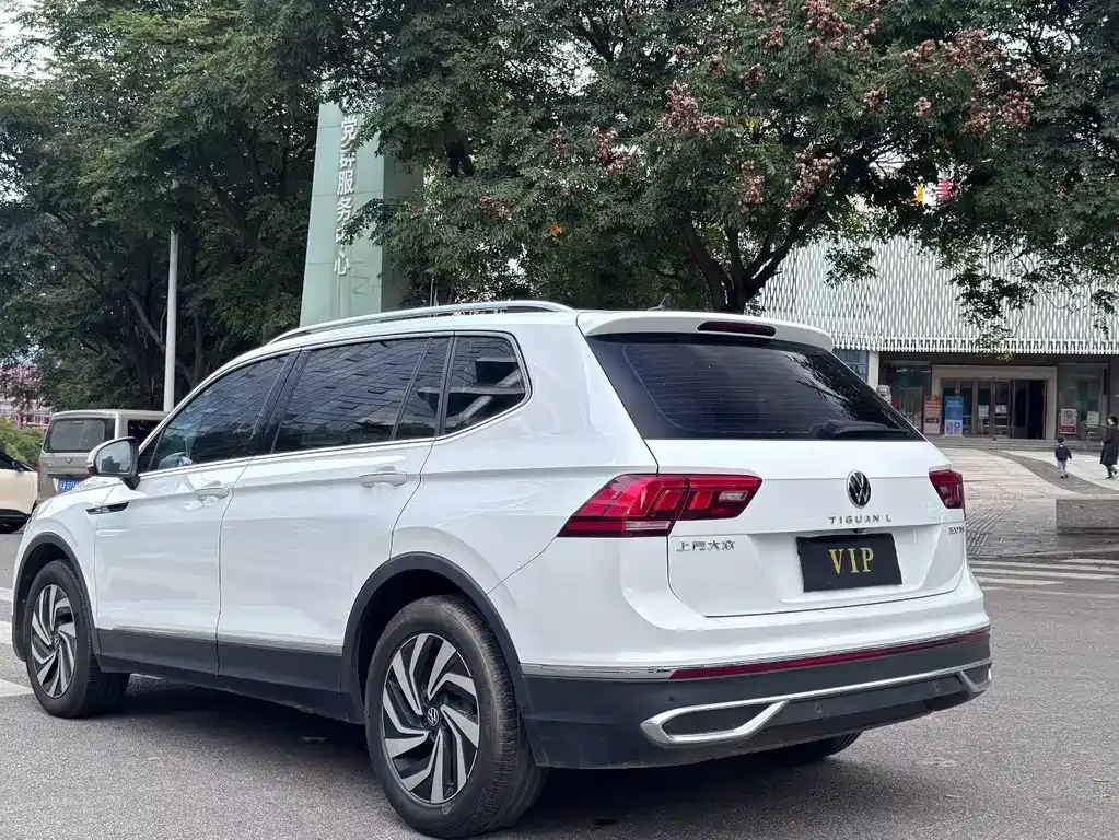 Volkswagen Tiguan L 2023 из CN, фото 10