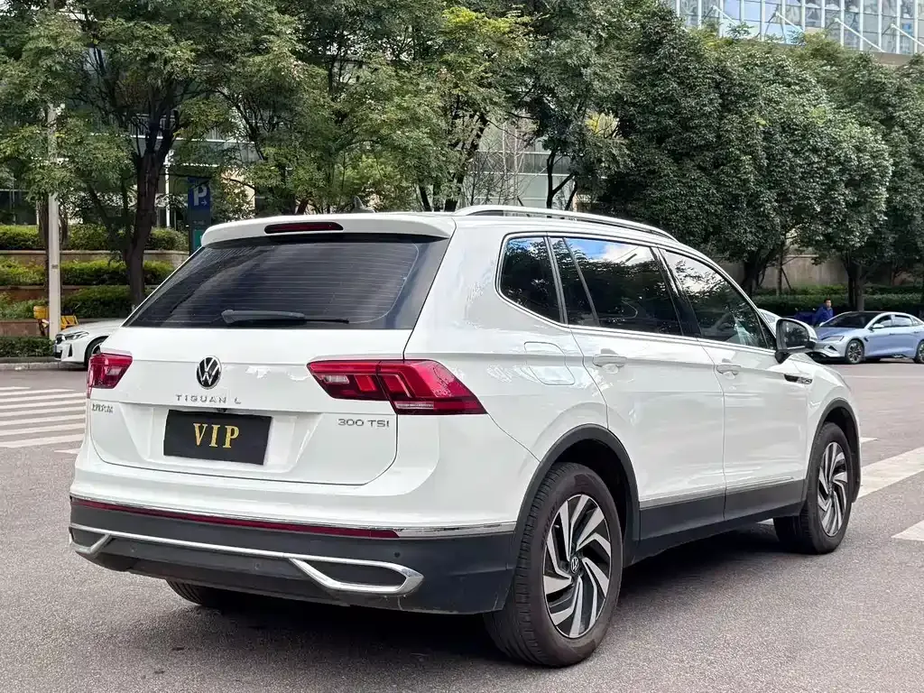 Volkswagen Tiguan L 2023 из CN, фото 8